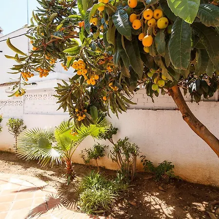 Pinos 23 Casasol * Nerja